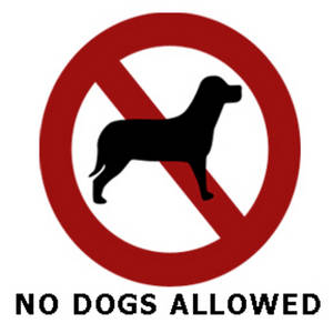 No Dogs Allowed In The Parks